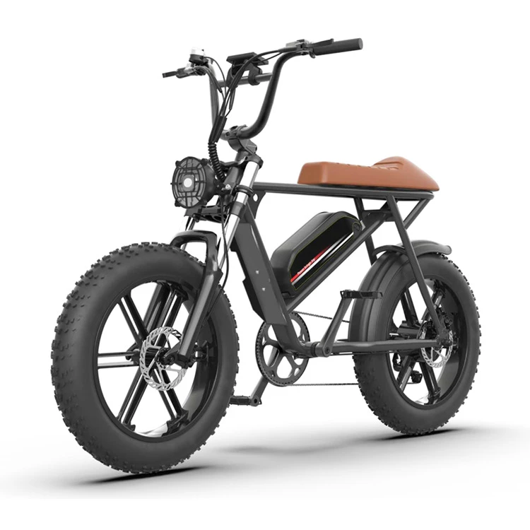 Electric Bike