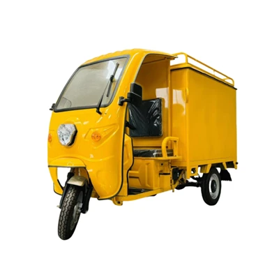 3 Wheel Delivery Motorcycle
