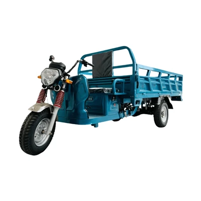 Urban Electric Cargo Tricycle