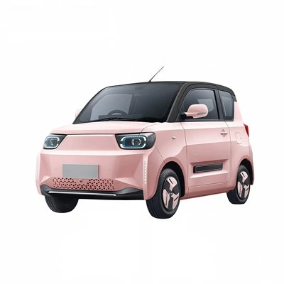 4 Seat Electric Vehicle