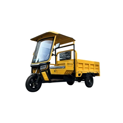 Electric Cargo Tricycle 800kg Load
