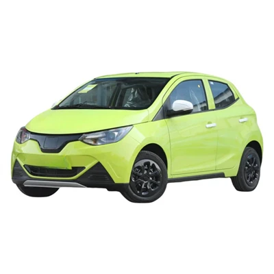 Electric Compact Car