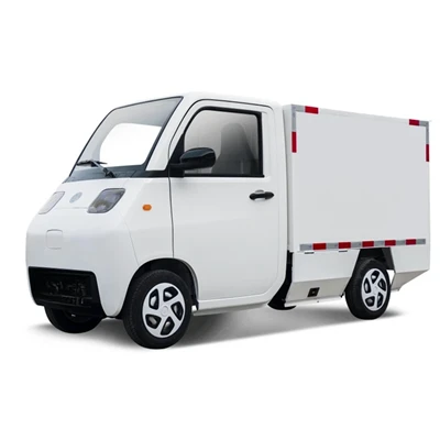 Electric Mini Truck 300 kg