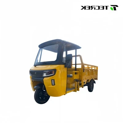 Electric Motor Tricycle