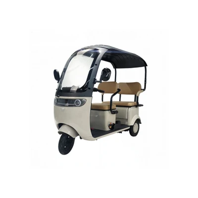 Electric Passenger Trike Bulk Supply