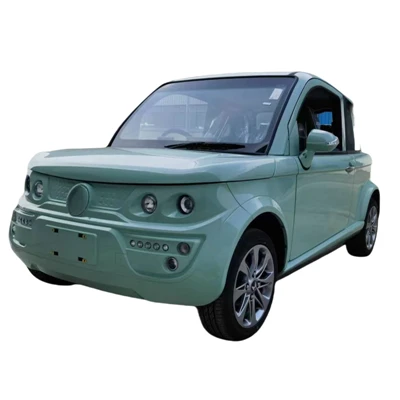 Electric Two Doors Mini Car
