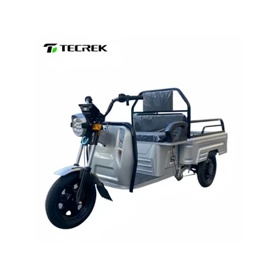 Flatbed Cargo Tricycle