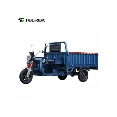 High Load Electric Tricycle