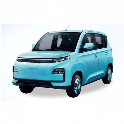 Micro Electric Vehicles