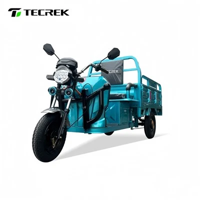 1.3m Cargo Electric Tricycle