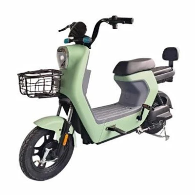 350W Electric Motorcycle
