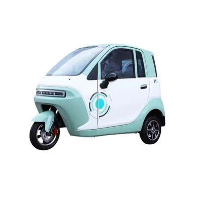 Fully Enclosed Electric Passenger Tricycle