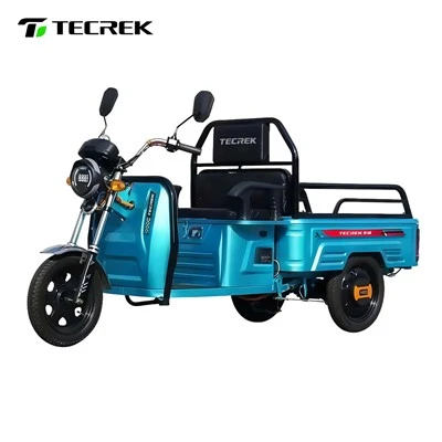 Logistics Electric Tricycle