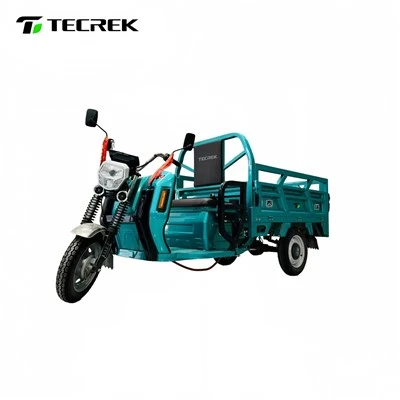 Cargo Hauling Electric Tricycle