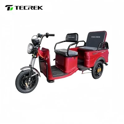 Heavy Duty Electric Tricycle for Cargo Transport