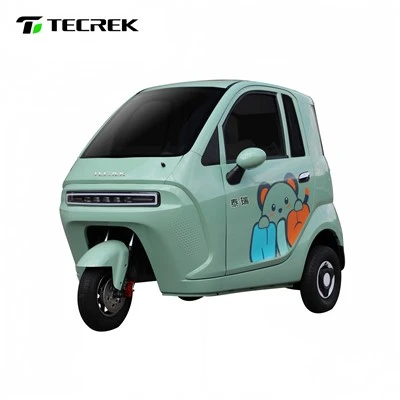 City Commuting Electric Tricycle