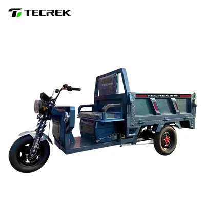Self Dumping Electric Tricycle
