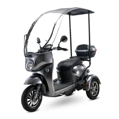 Cover Type Electric Tricycle