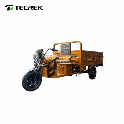 Battery Powered Electric Tricycle