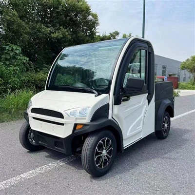 Electric Mini Truck