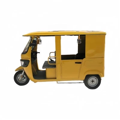 Electric Three Wheeler