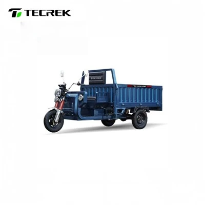 Agriculture Electric Trike