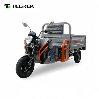 Electric Three Wheel Utility Vehicle