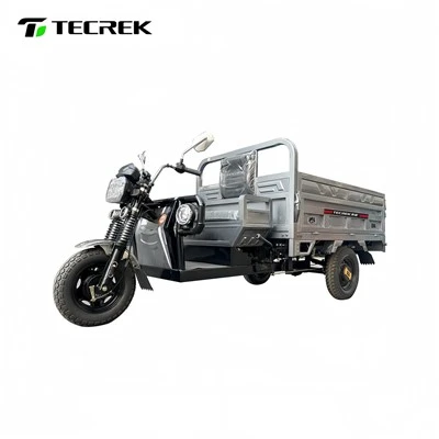 Heavy duty transport electric tricycle