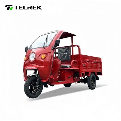 Enclosed Cabin Electric Tricycle