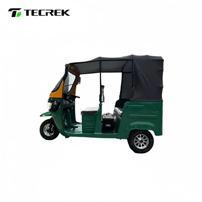Electric Trike Lithium Battery
