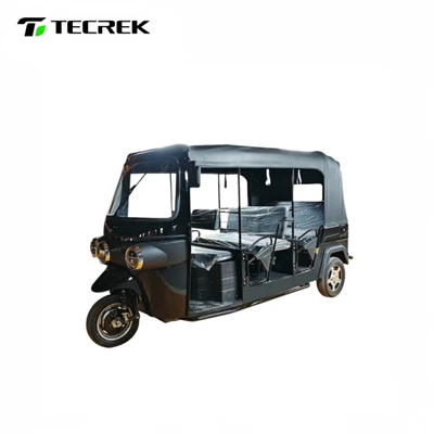 electric rickshaw trike