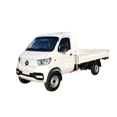 Electric Small Freight Truck for Urban Delivery