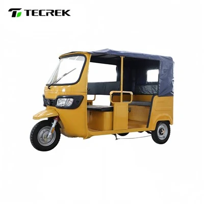 Electric 3 Wheel Passenger Tricycle