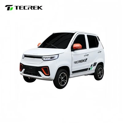 Family Tailored Electric Quadricycle