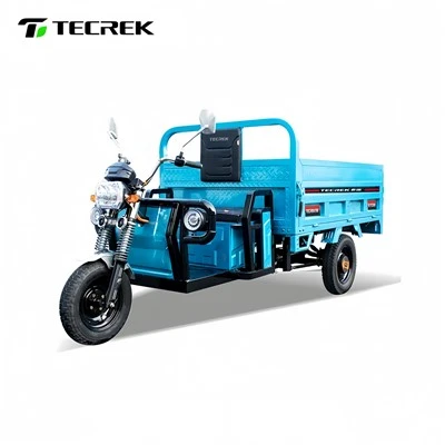 Heavy Duty Electric Tricycle