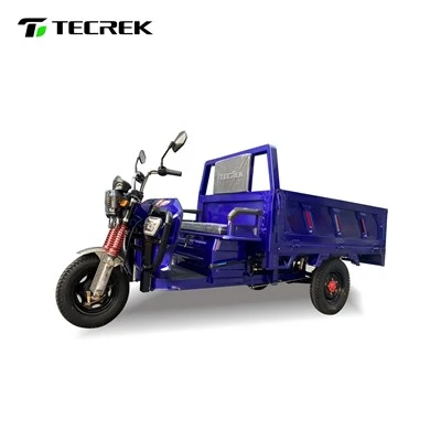 Cargo Electric Tricycle