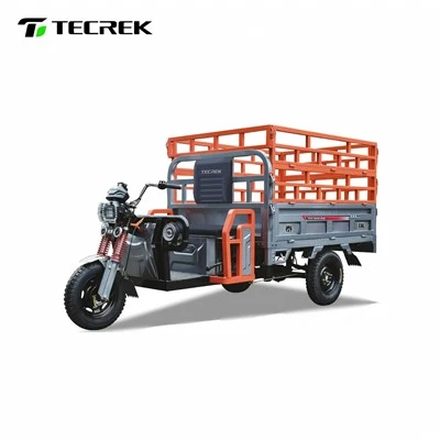 Large Scale Freight Electric Tricycle