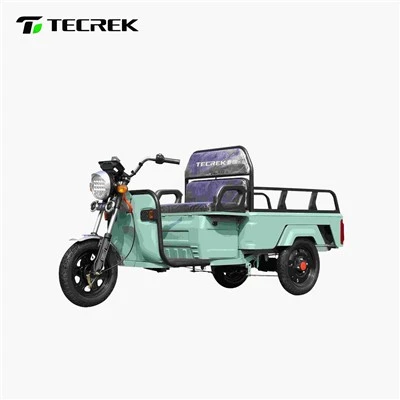 Electric Cargo Tricycle for Sale 1000W Utility Three Wheeler