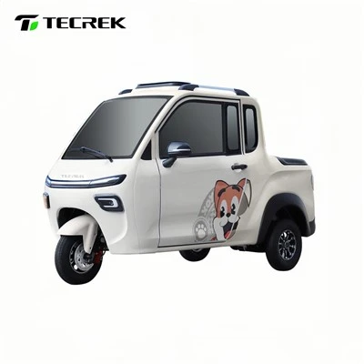 Light Cargo Utility Electric Tricycle