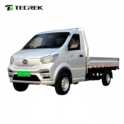 Mini Flatbed Truck For Sale