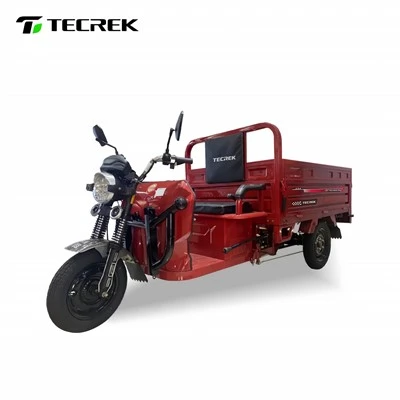Electric Freight Tricycle