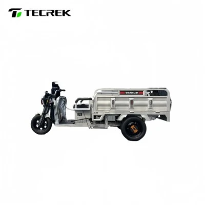 800W Electric Tricycle