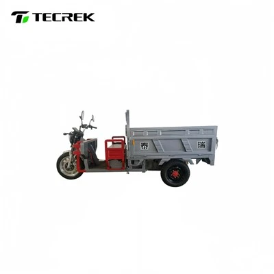 Three Wheel Electric Cargo Vehicle