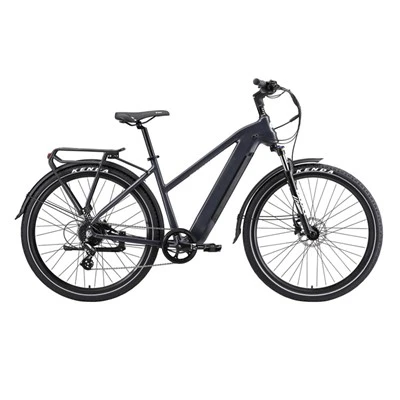 Trekking Electric Bike